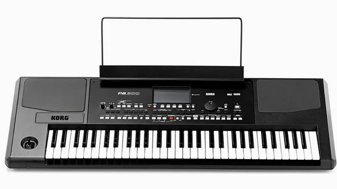 Korg PA-300, face arrière, photo 2