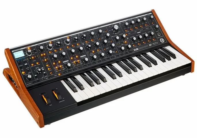 Moog Subsequent 37, face arrière, photo 3