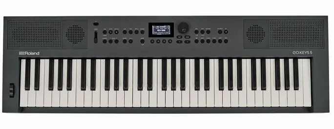 Roland GO:KEYS 5 GT, face arrière, photo 3