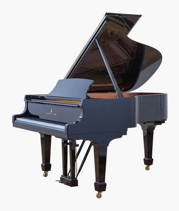 Steinway & Sons A-188, clavier, photo 2
