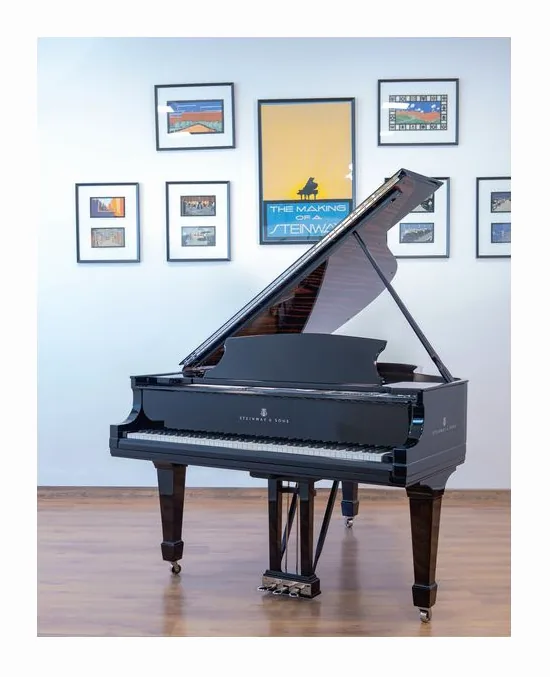 Steinway & Sons L Onyx Duet Grand Piano, pupitre, photo 2