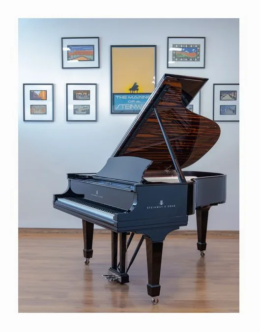 Steinway & Sons L Onyx Duet Grand Piano, vue de profil, photo 3