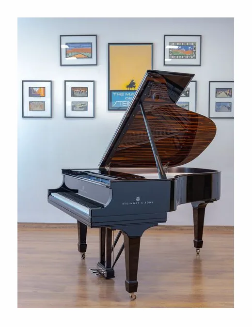 Steinway & Sons L Onyx Duet Grand Piano, pupitre, photo 4