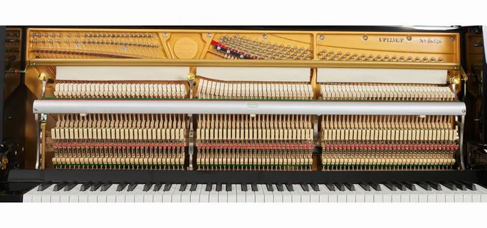 Thomann UP 123 E/P Piano, vue de face, photo 2