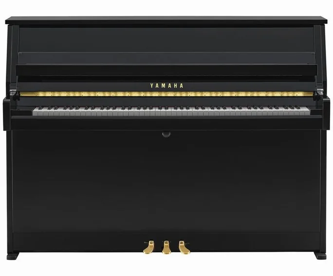 Yamaha B10 PE, vue de face, photo 2