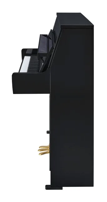 Yamaha B10 PE, vue de face, photo 3