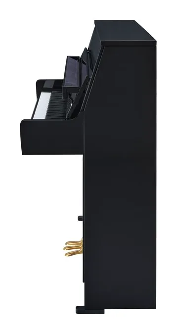 Yamaha B10 SC3 PE, pédales, photo 2