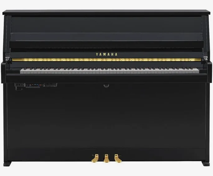 Yamaha B10 TC3 PE, clavier, photo 2