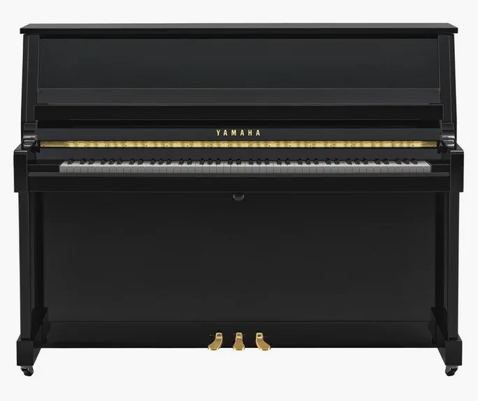 Yamaha B20 PE, vue de trois quarts, photo 2