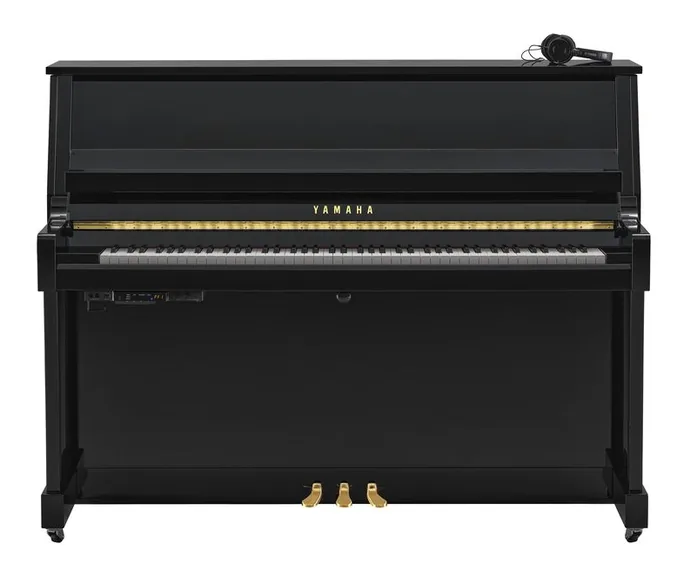 Yamaha B20 SC3 PE, vue de profil, photo 2