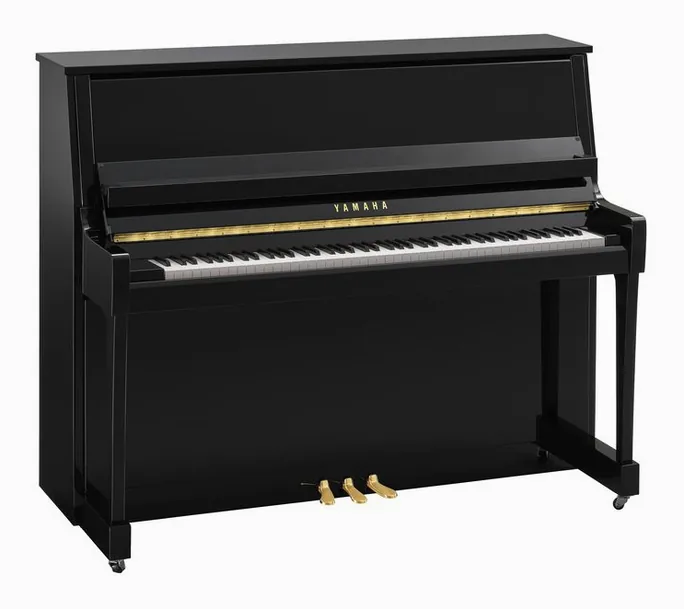 Yamaha B30 PE, vue de profil, photo 2