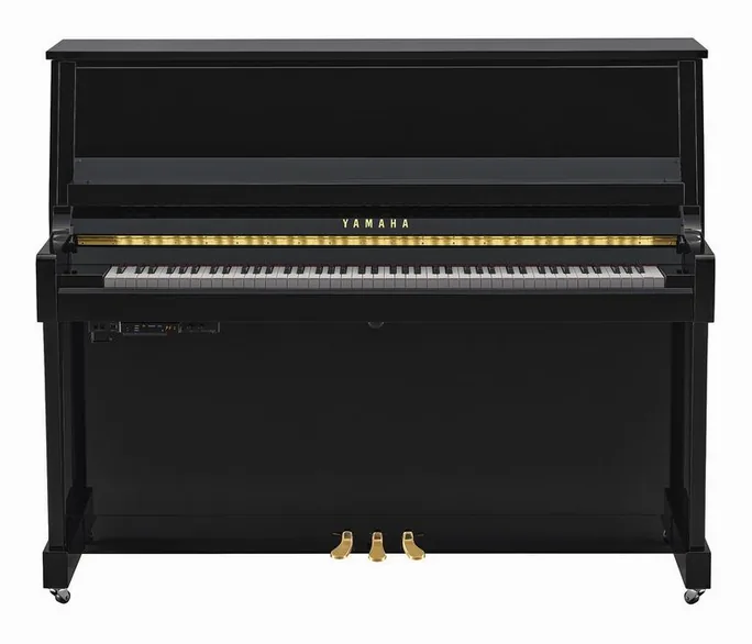 Yamaha B30 TC3 PE, pupitre, photo 2