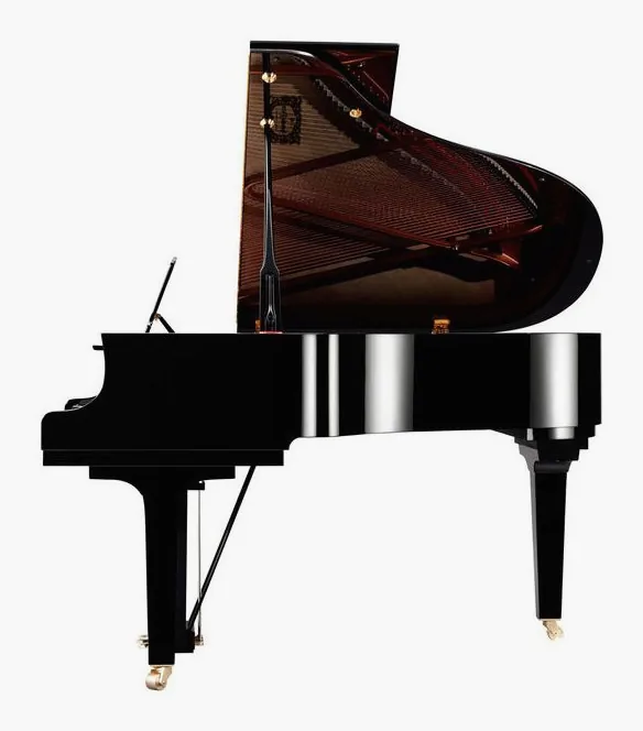 Yamaha C 2 X PE, vue de trois quarts, photo 2
