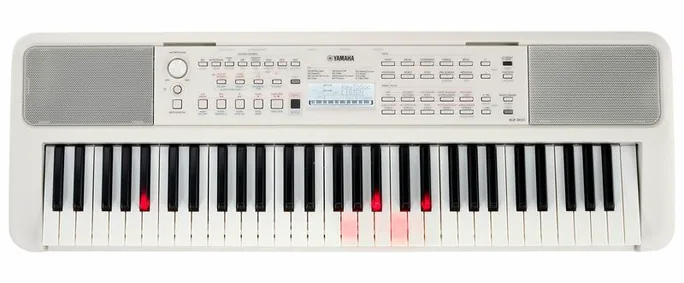 Yamaha EZ-310, vue de dessus, photo 4